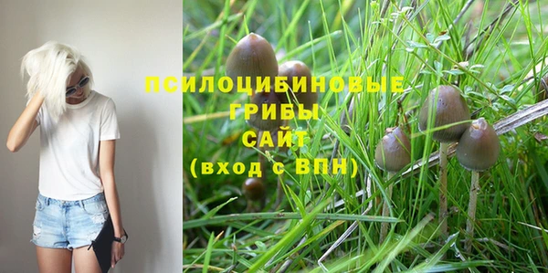 мяу мяу мука Алексин