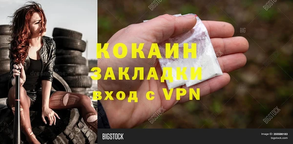 стафф Алзамай
