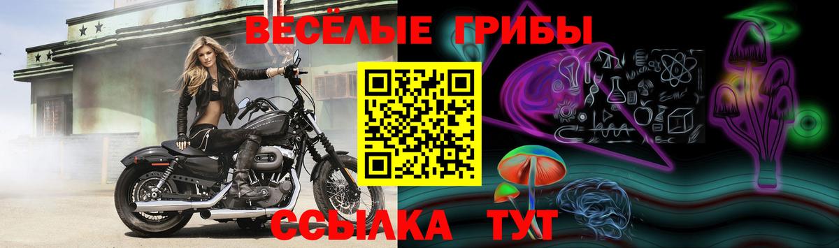 Зеленогорск  Псилоцибиновые грибы Magic Shrooms  Псилоцибиновые грибы GOLDEN TEACHER  Вход с VPN 