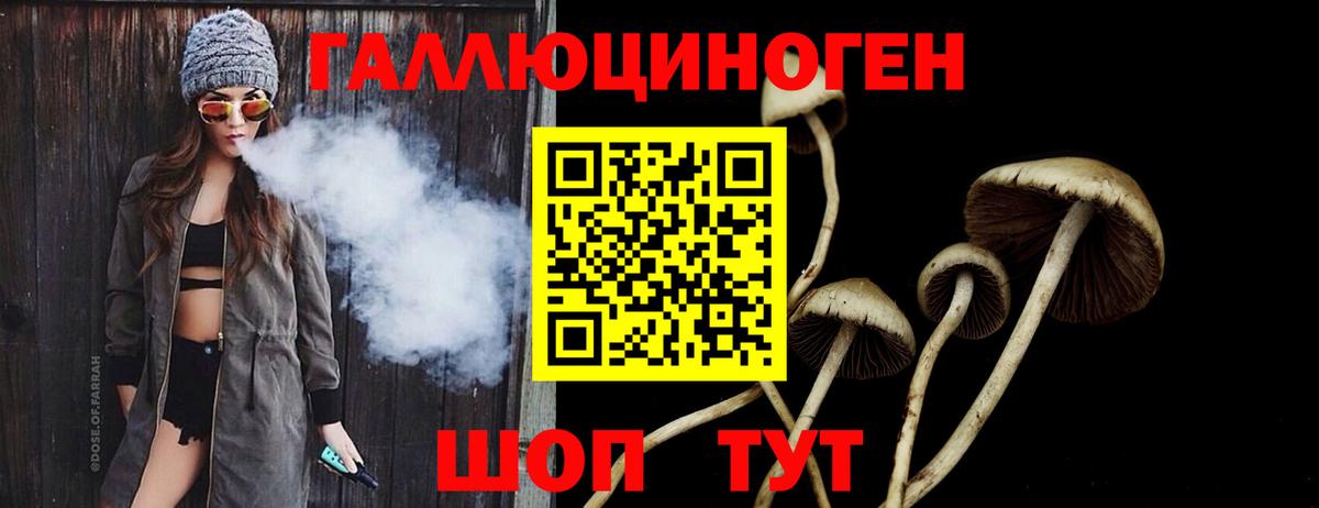 Псилоцибиновые грибы GOLDEN TEACHER Зеленогорск